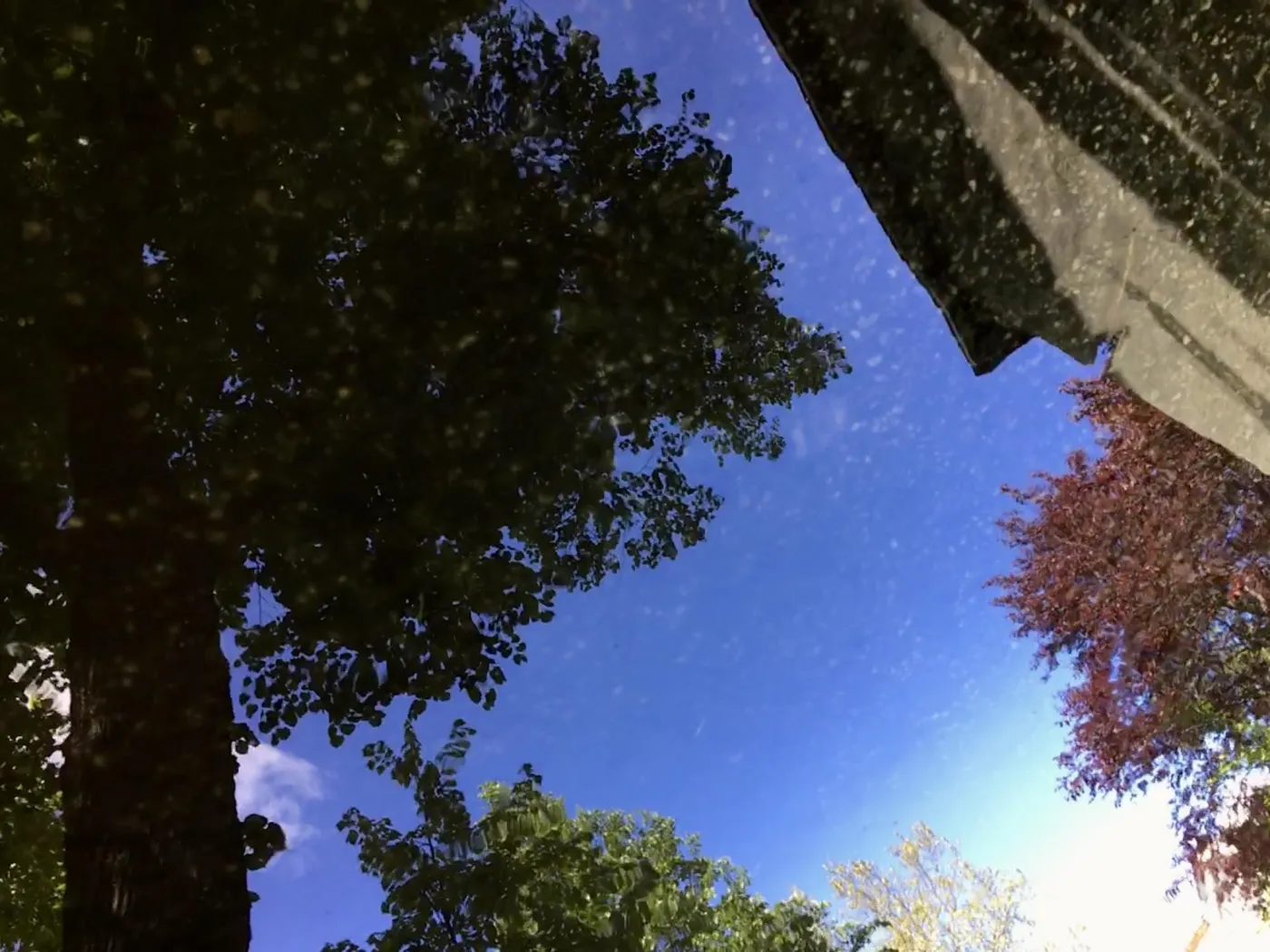 Fotos_Pfuetzen_2__13-13