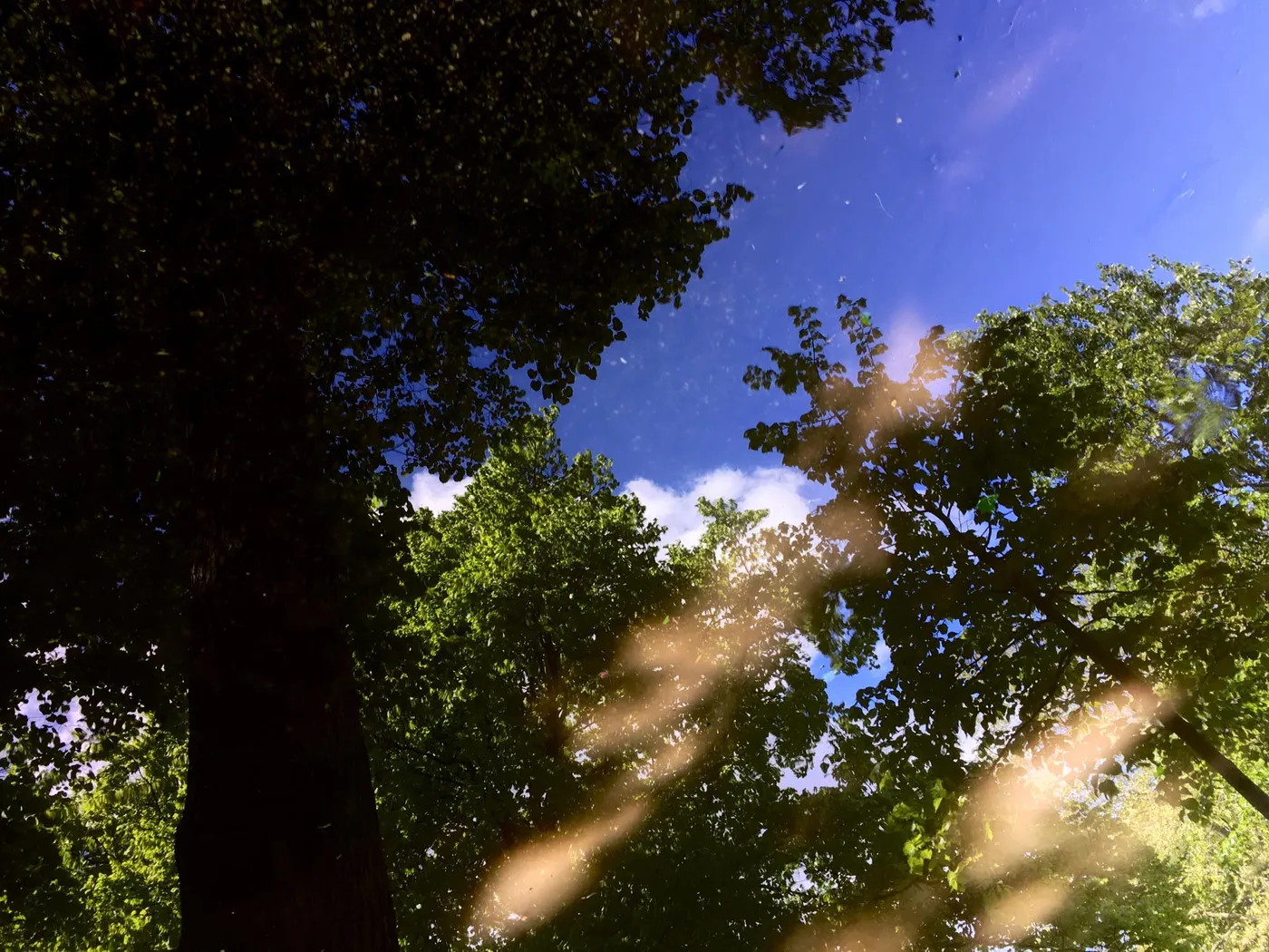 Fotos_Pfuetzen_2__14-14