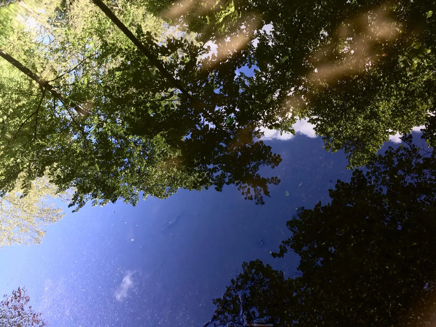 Fotos_Pfuetzen_2__15-15