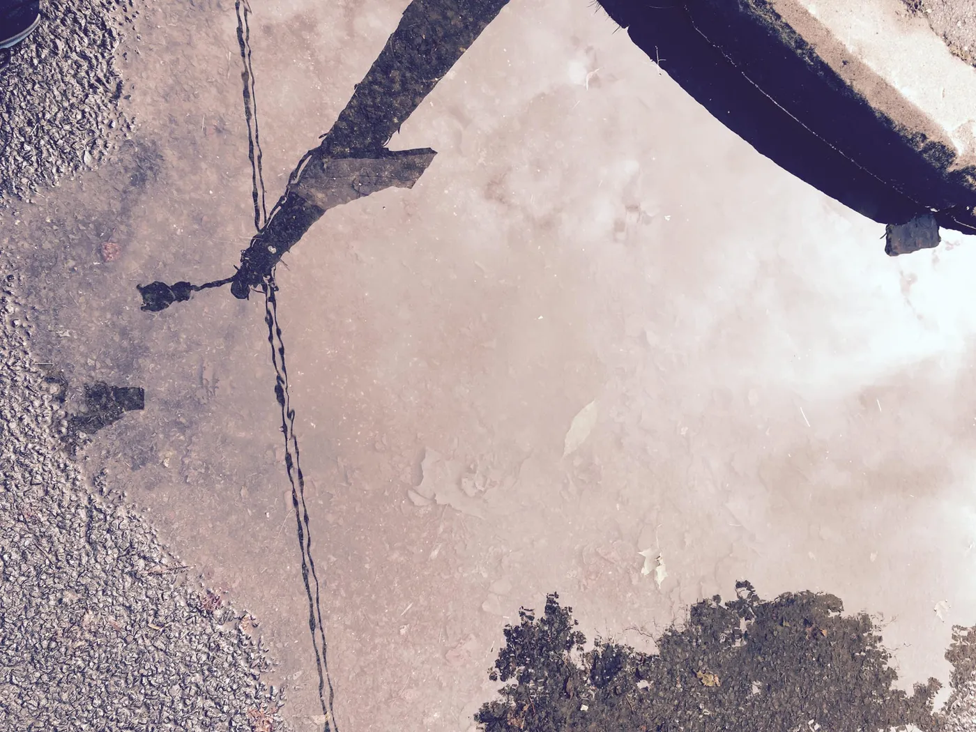 Fotos_Pfuetzen_2__3-3