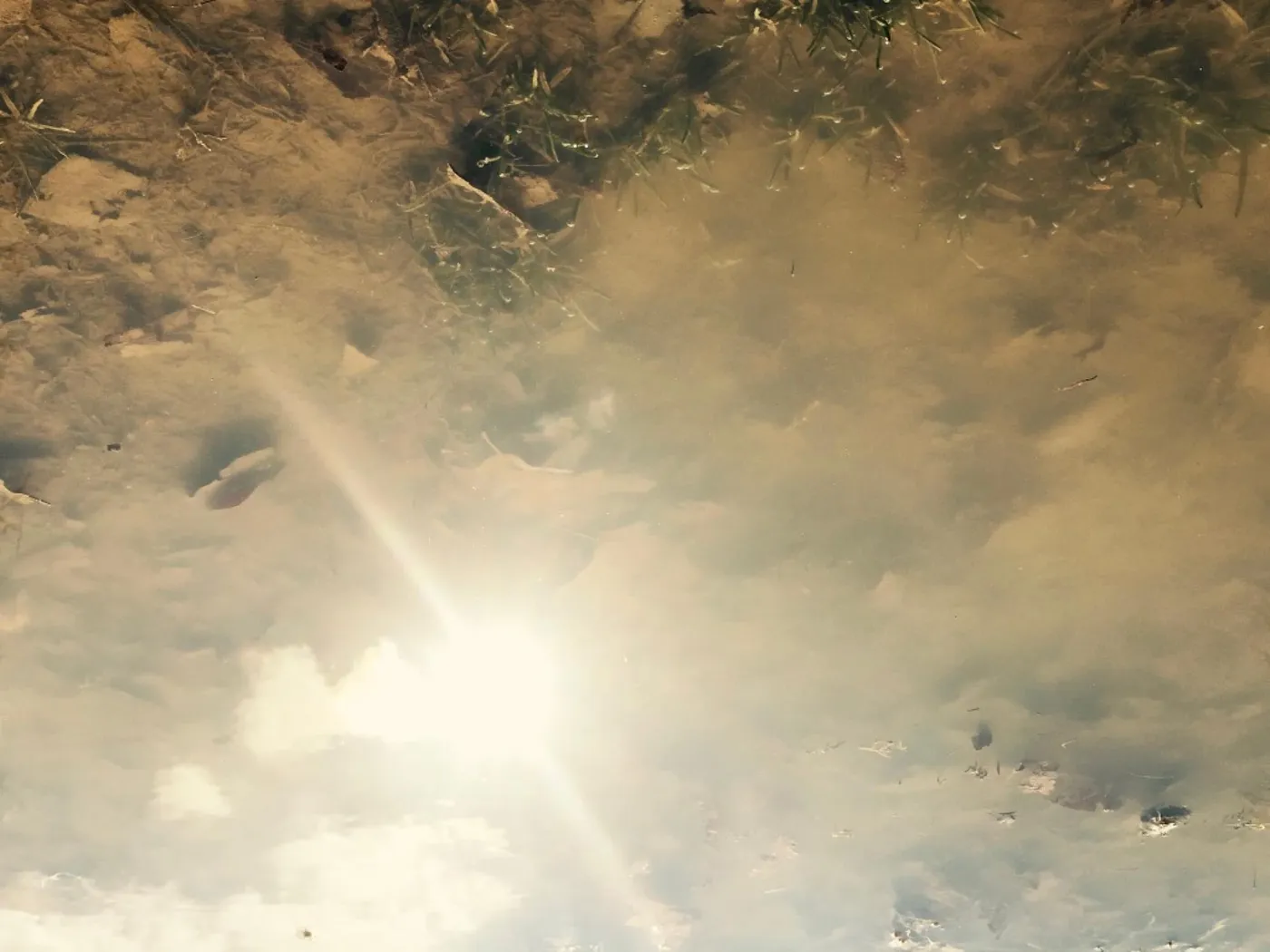 Fotos_Pfuetzen_3_7-7