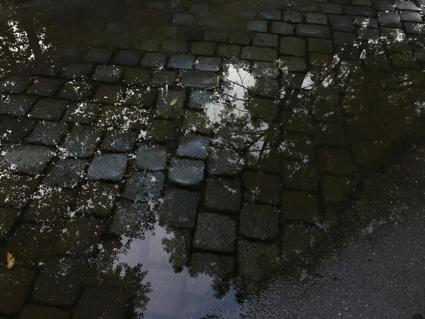 Fotos_Pfuetzen_4032x3024_-1