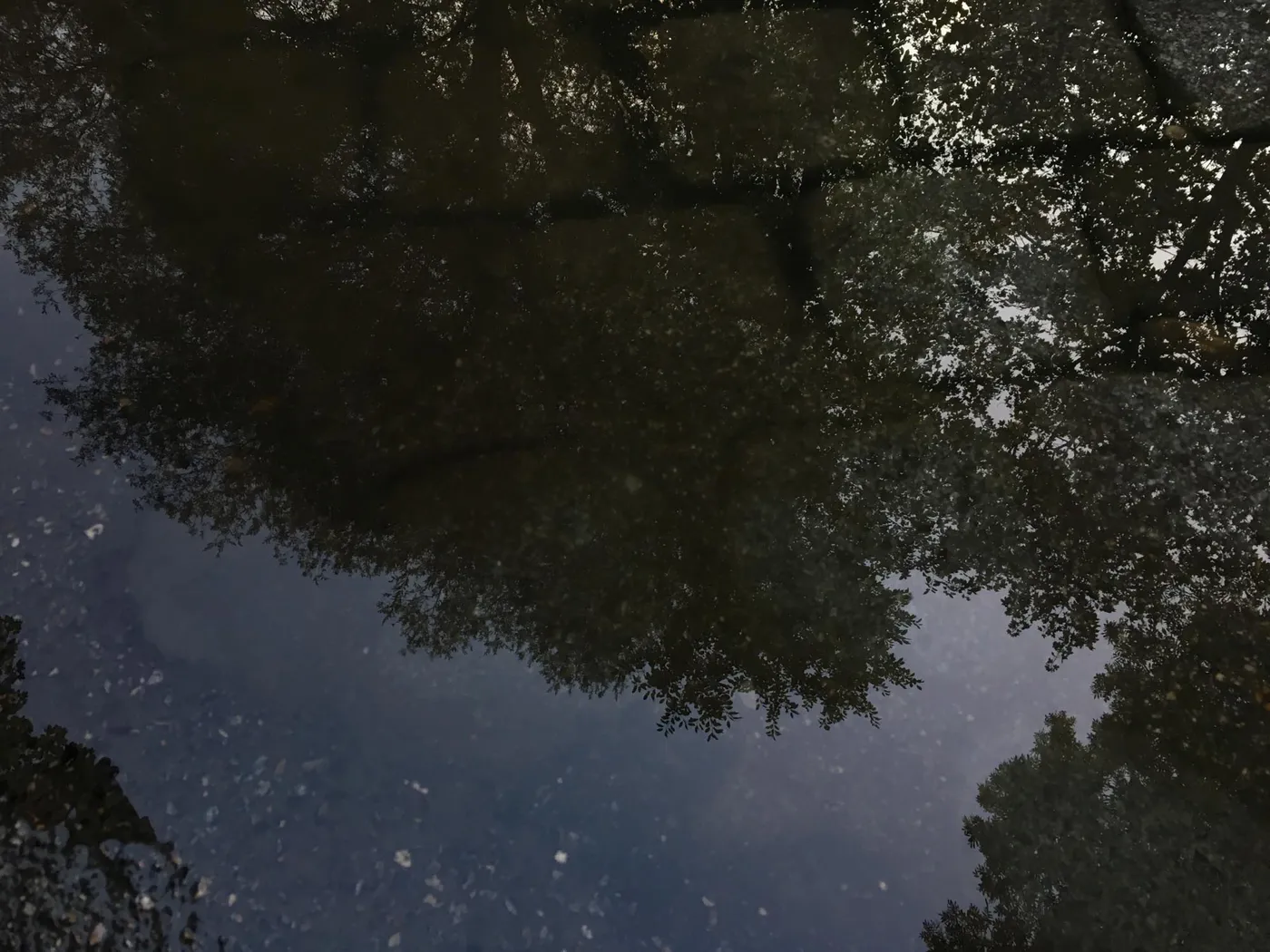 Fotos_Pfuetzen_4032x3024_2-2