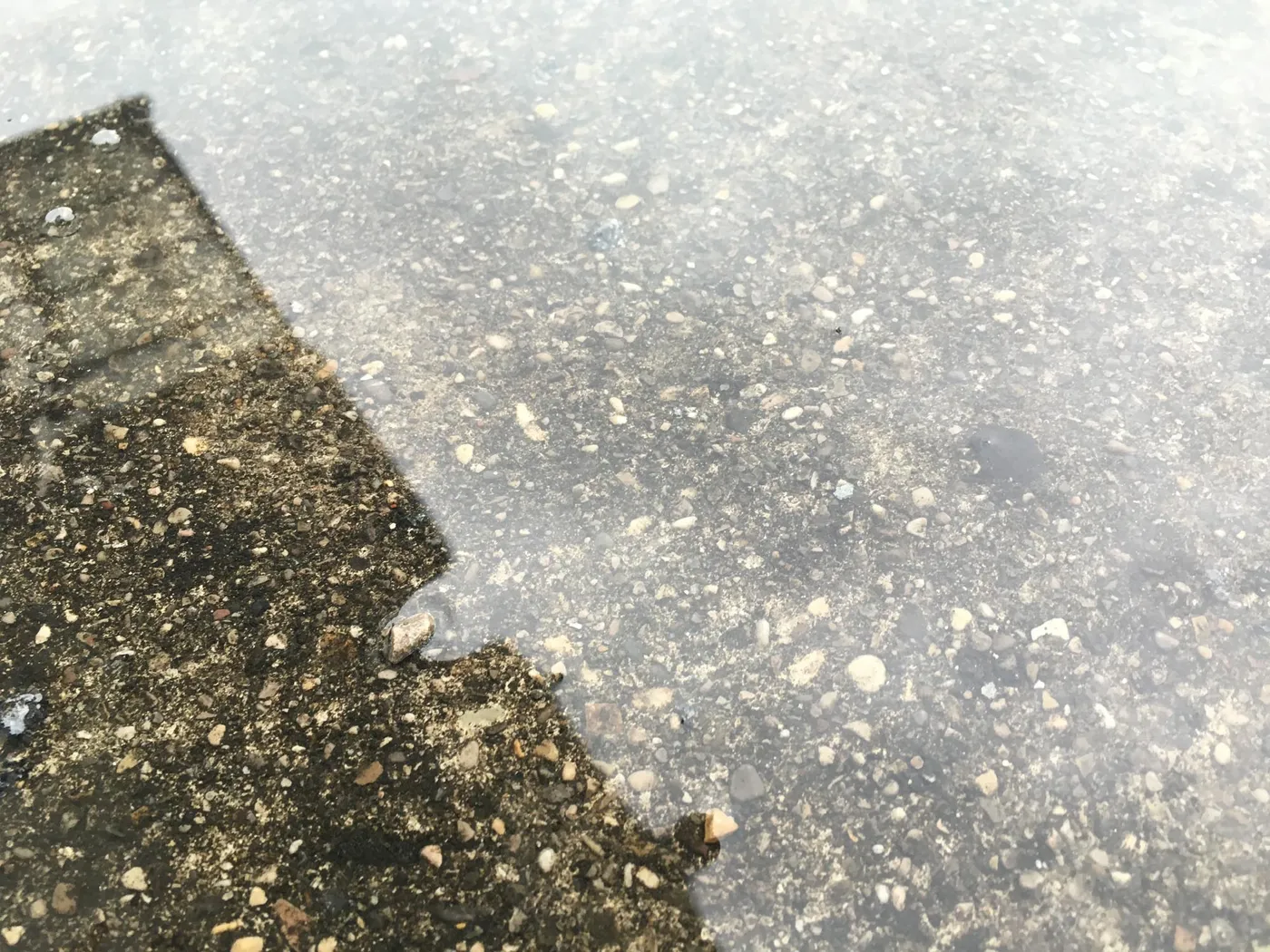 Fotos_Pfuetzen_4032x3024_4-4