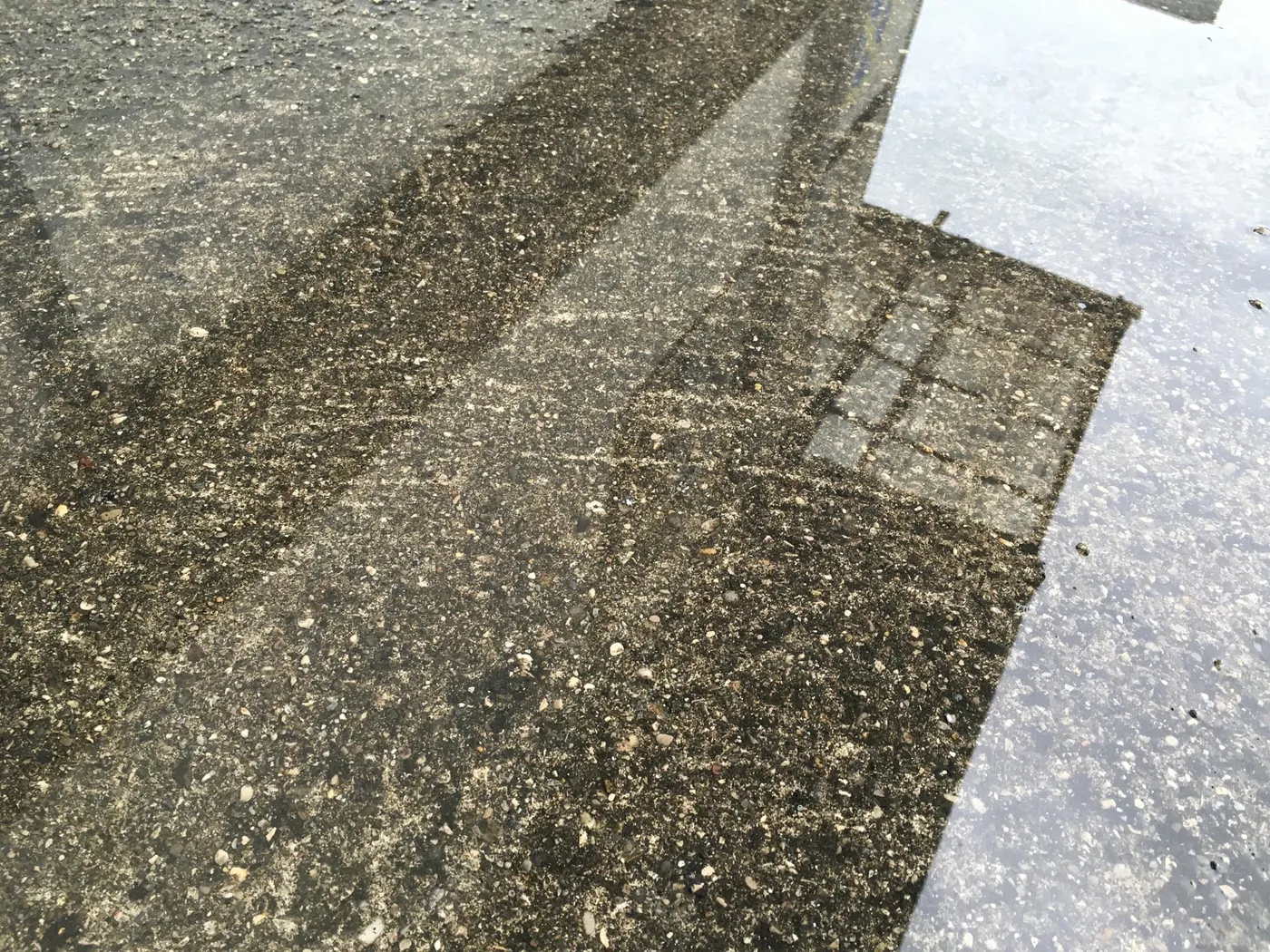 Fotos_Pfuetzen_4032x3024_5-5