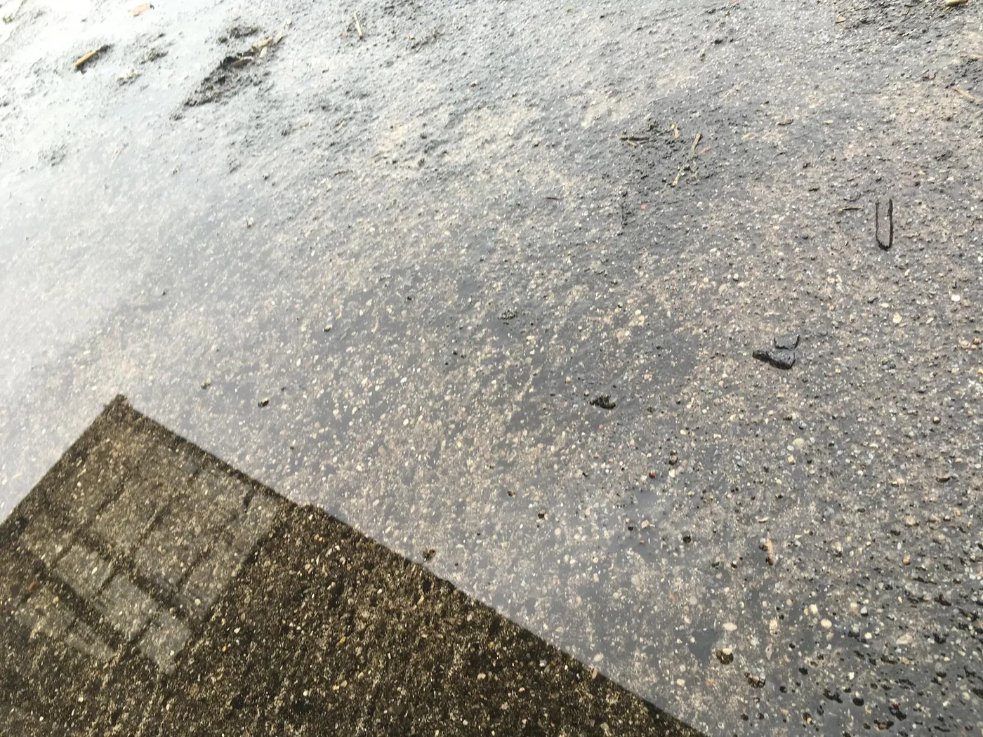 Fotos_Pfuetzen_4032x3024_6-6