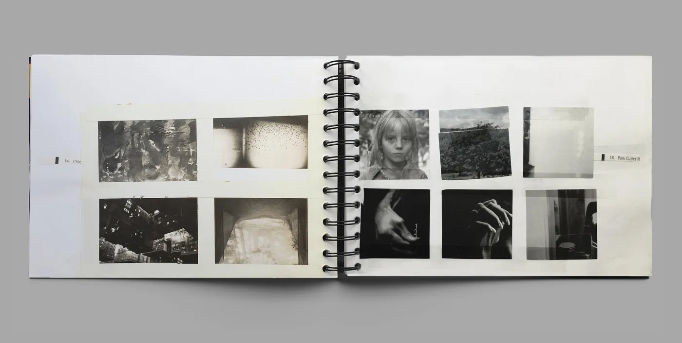 IB_1999_02-3