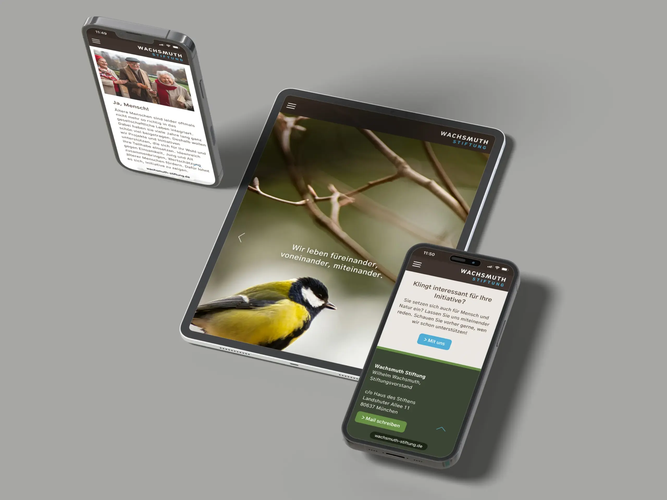 Barrierefreies Webdesign für die Wachsmuth-Stiftung. Sympathische und übersichtliche Benutzeroberfläche mit Fokus auf Gemeinnützigheit und transparente Information.